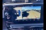 very clean GMC SIERRA 2500HD 2026 GMC SIERRA 2500HD AT4 CROSSVILLE, TN